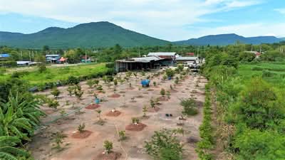 ขาย - ขายที่ดินปากช่อง ตำบลวังไทร วิวภูเขา เนื้อที่ 3-2-0-ไร่ มีบ้าน ใกล้เขาใหญ่, นครราชสีมา