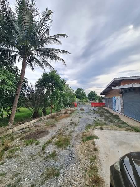 Land for sale in Pak Chong, mountain view, 3-2-0 rai, with a house, near Khao Yai, Nakhon Ratchasima, Wang Zai, Pak Chong, Nakhon Ratchasima, , 5,600 sqm, Land For Sale, by Fareeda Thaipatan, 500326642 - DDproperty.com