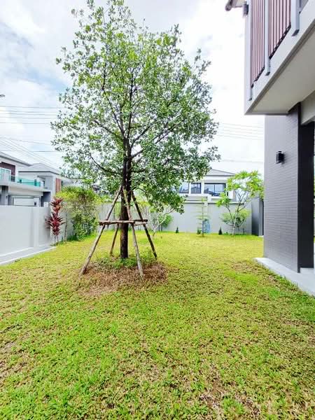 Sansaran North View : แสนสราญ นอร์ทวิว, เชียงใหม่, บ้านแหวน, หางดง, เชียงใหม่, 200 ตร.ม., บ้านเดี่ยว ให้เช่า, โดย คุณ ธีรชาติ, 500326839 - DDproperty.com
