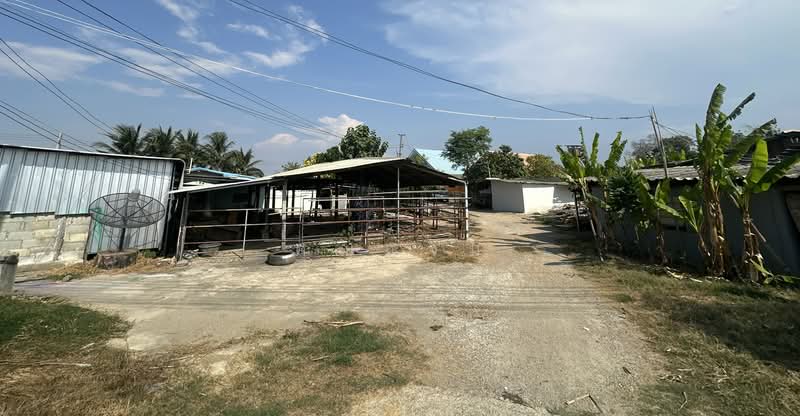 นอกโครงการกำแพงแสน, นครปฐม, หนองกระทุ่ม, กำแพงแสน, นครปฐม, 56 ตร.ม., บ้านเดี่ยว ขาย, โดย คุณแจม, 500326895 - DDproperty.com