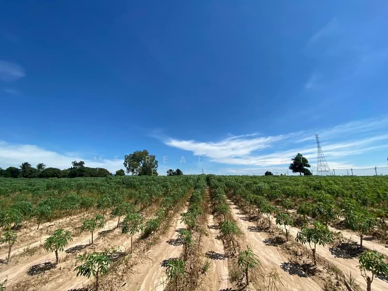 ที่ดินบ่อวิน 24 ไร่ ใกล้ถนน331, Chon Buri (Pattaya), Bo Win, Si Racha, Chon Buri (Pattaya), , 38,400 sqm, Land For Sale, by HOME Real Estate Service, 500327088 - DDproperty.com