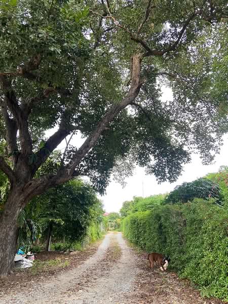 ที่ดินพร้อมบ้าน 2 ไร่ ใจกลางแหลมฉบัง, Chon Buri (Pattaya), Bang Lamung, Bang Lamung (Pattaya), Chon Buri (Pattaya), , 3,200 sqm, Land For Sale, by HOME Real Estate Service, 500327140 - DDproperty.com