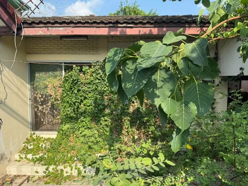 4-BR House, Bangkok, Tha Rang, Bang Khen, Bangkok, 4 Bedrooms, 220 sqm, Single Detached House For Sale, by Walapa Jidbumrungsakun, 500327257 - DDproperty.com