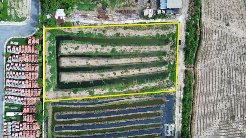 ที่ดินเขตหนองจอก กรุงเทพมหานคร, กรุงเทพ, โคกแฝด, หนองจอก, กรุงเทพ, 8,560 ตร.ม., ที่ดิน ขาย, โดย Nipawan Thurasuk, 500327515 - DDproperty.com