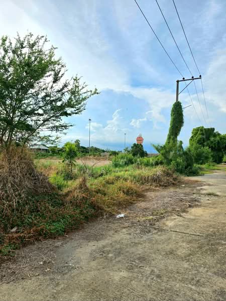ที่ดินเขตหนองจอก กรุงเทพมหานคร, กรุงเทพ, โคกแฝด, หนองจอก, กรุงเทพ, 8,560 ตร.ม., ที่ดิน ขาย, โดย Nipawan Thurasuk, 500327515 - DDproperty.com