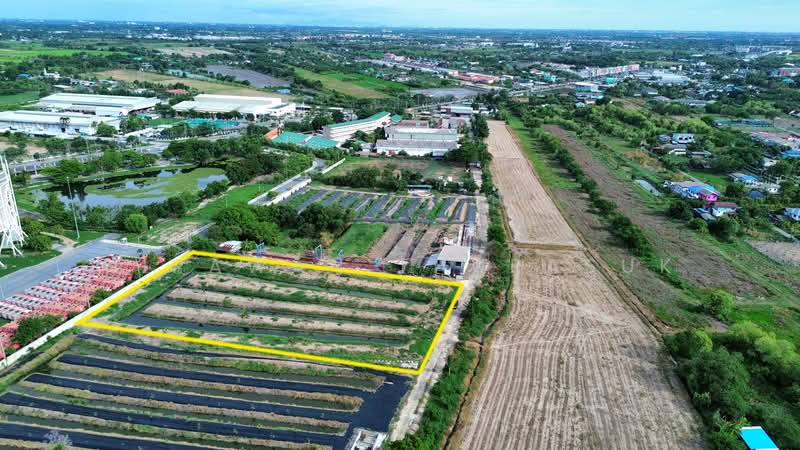 ที่ดินเขตหนองจอก กรุงเทพมหานคร, กรุงเทพ, โคกแฝด, หนองจอก, กรุงเทพ, 8,560 ตร.ม., ที่ดิน ขาย, โดย Nipawan Thurasuk, 500327515 - DDproperty.com