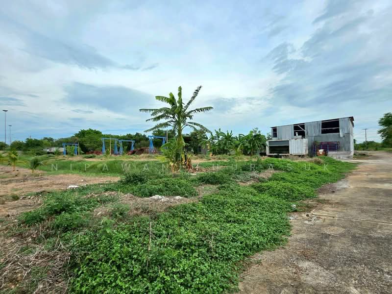 ที่ดินเขตหนองจอก กรุงเทพมหานคร, กรุงเทพ, โคกแฝด, หนองจอก, กรุงเทพ, 8,560 ตร.ม., ที่ดิน ขาย, โดย Nipawan Thurasuk, 500327515 - DDproperty.com