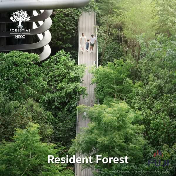 Whizdom The Forestias : วิสซ์ดอม เดอะ ฟอเรสเทียส์, สมุทรปราการ, ถนนเทพรัตน, บางแก้ว, บางพลี, สมุทรปราการ, 59 ตร.ม., คอนโด ให้เช่า, โดย Elvis Lee, 500327748 - DDproperty.com