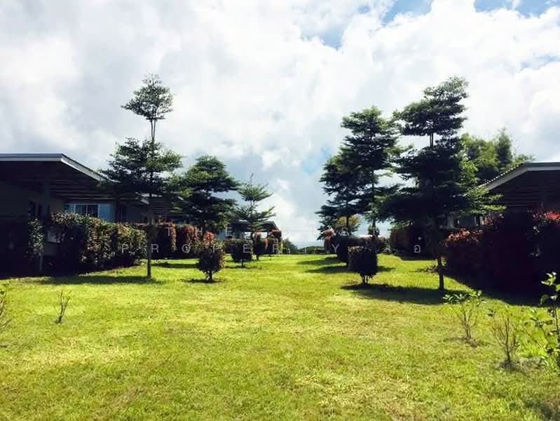 ที่ดินพร้อมบ้านด่านซ้าย เลย, เลย, โคกงาม, ด่านซ้าย, เลย, 14,280 ตร.ม., ที่ดิน ขาย, โดย The Best Property เอ๋, 500327825 - DDproperty.com