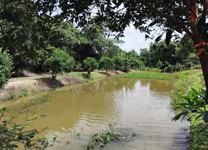 ที่ดินพร้อมบ้านด่านซ้าย เลย, Loei, Khok Ngam, Dan Sai, Loei, , 14,280 sqm, Land For Sale, by The Best Property เอ๋, 500327825 - DDproperty.com