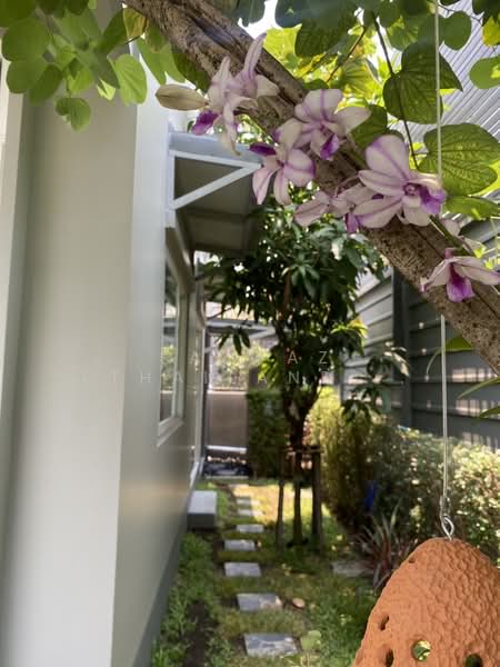 Anasiri Payap, Chiang Mai, Nong Pa Krang, Muang Chiang Mai, Chiang Mai, 4 Bedrooms, 145 sqm, Townhouse For Rent, by Fazwaz (Thailand) Co., Ltd., 500327877 - DDproperty.com