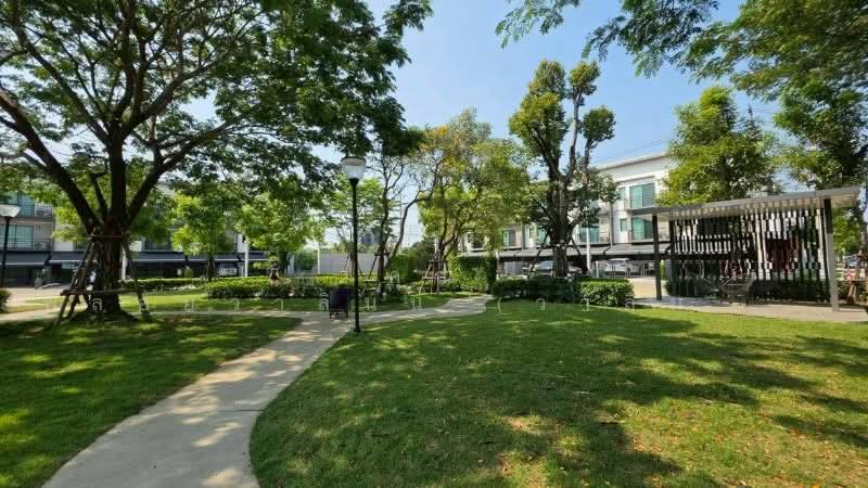 บ้านกลางเมือง ราชพฤกษ์ สาทร (Baan Klang Muang Ratchaphruek Sathorn), นนทบุรี, Ratchaphruek Bang Khanun, บางขนุน, บางกรวย, นนทบุรี, 141 ตร.ม., ทาวน์เฮ้าส์ ขาย, โดย คุณ พลอยวาลินน์ (วาลินน์), 500327959 - DDproperty.com