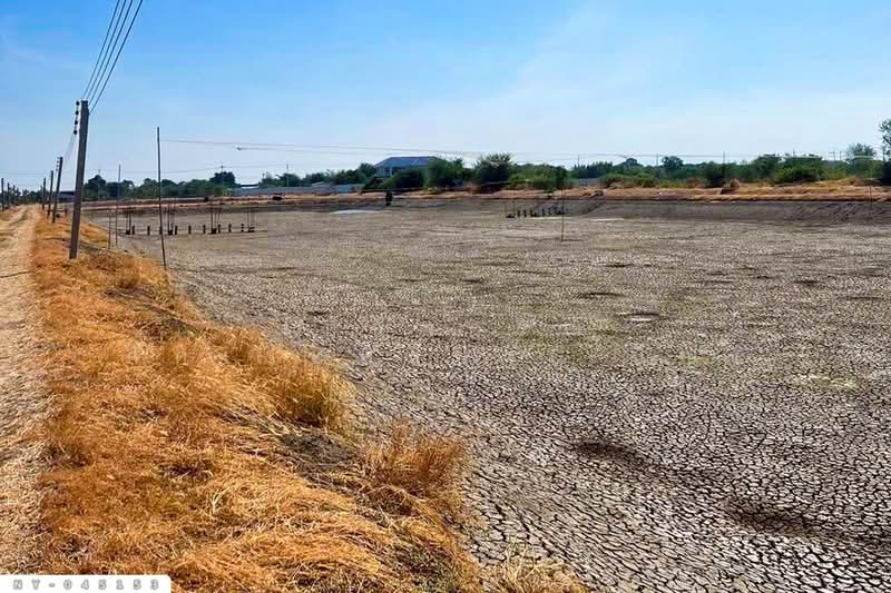 Land for sale in Bang Pakong, Chachoengsao, 9 rai 287 sq.wa, NY-045153, Chachoengsao, Song Khlong, Bang Pakong, Chachoengsao, , 15,548 sqm, Land For Sale, by Benchawarin Pakkawetppisit, 500328079 - DDproperty.com