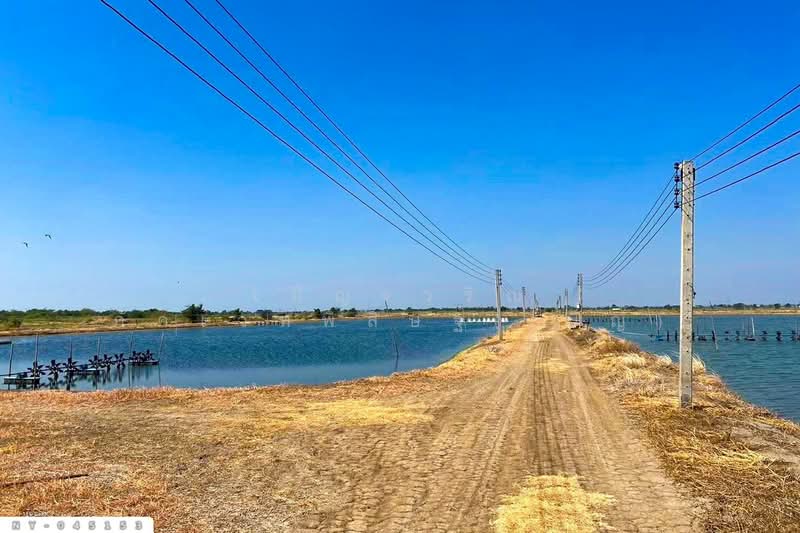 Land for sale in Bang Pakong, Chachoengsao, 9 rai 287 sq.wa, NY-045153, Chachoengsao, Song Khlong, Bang Pakong, Chachoengsao, , 15,548 sqm, Land For Sale, by Benchawarin Pakkawetppisit, 500328079 - DDproperty.com