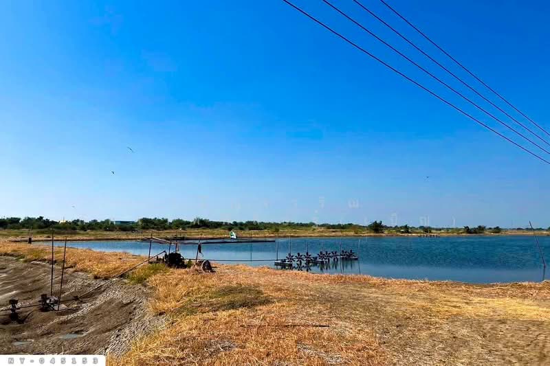 Land for sale in Bang Pakong, Chachoengsao, 9 rai 287 sq.wa, NY-045153, Chachoengsao, Song Khlong, Bang Pakong, Chachoengsao, , 15,548 sqm, Land For Sale, by Benchawarin Pakkawetppisit, 500328079 - DDproperty.com
