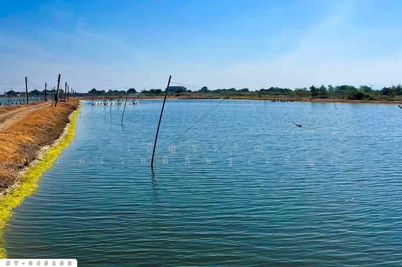 Land for sale in Bang Pakong, Chachoengsao, 9 rai 287 sq.wa, NY-045153, Chachoengsao, Song Khlong, Bang Pakong, Chachoengsao, , 15,548 sqm, Land For Sale, by Benchawarin Pakkawetppisit, 500328079 - DDproperty.com