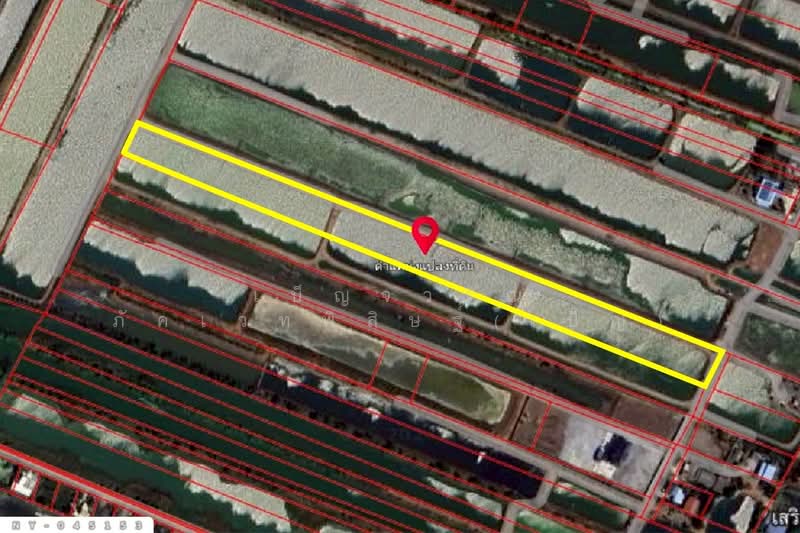 ที่ดินบางปะกง 9 ไร่ 287 ตร.ว. ฉะเชิงเทรา ใกล้โรงเรียนแสมขาววิทยาคาร NY-045153, ฉะเชิงเทรา, สองคลอง, บางปะกง, ฉะเชิงเทรา, 15,548 ตร.ม., ที่ดิน ขาย, โดย เบ็ญจวริณ ภัคเวทพิสิษฐ์(เบ็ญ), 500328079 - DDproperty.com