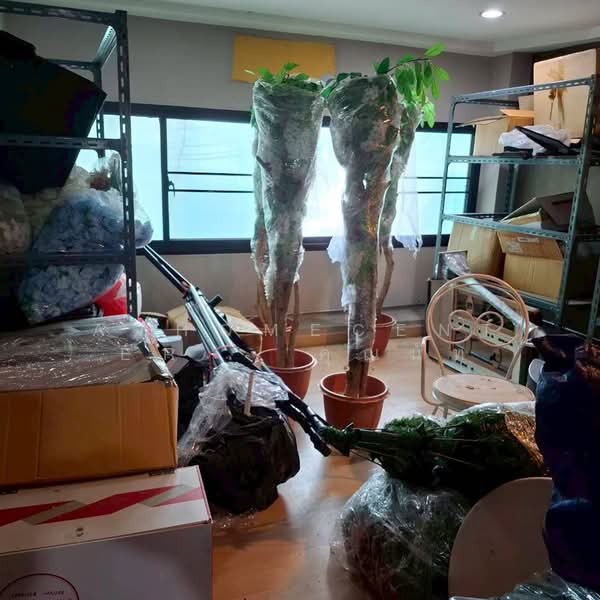 เดอะ วิลเลจ ปัญญา-รามอินทรา, Bangkok, ปัญญา-รามอินทรา, Bang Chun, Khlong Sam Wa, Bangkok, , 168 sqm, Shophouse For Sale, by AJHOMECENTER - คุณนัท, 500328191 - DDproperty.com