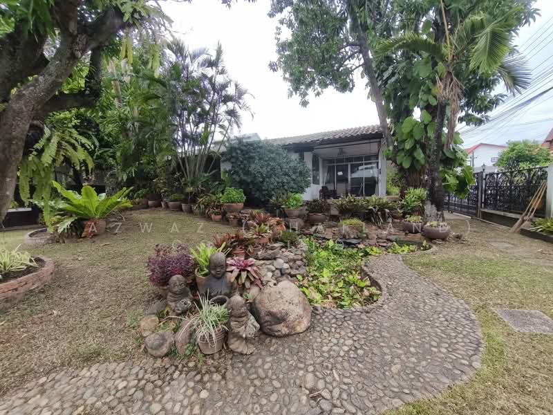 บ้านเช่า 3 ห้องนอน ป่าแดด เชียงใหม่ ใกล้สนามบิน พร้อมสวนส่วนตัว, เชียงใหม่, ป่าแดด, เมืองเชียงใหม่, เชียงใหม่, 260 ตร.ม., บ้านเดี่ยว ให้เช่า, โดย Fazwaz (Thailand) Co., Ltd., 500328196 - DDproperty.com