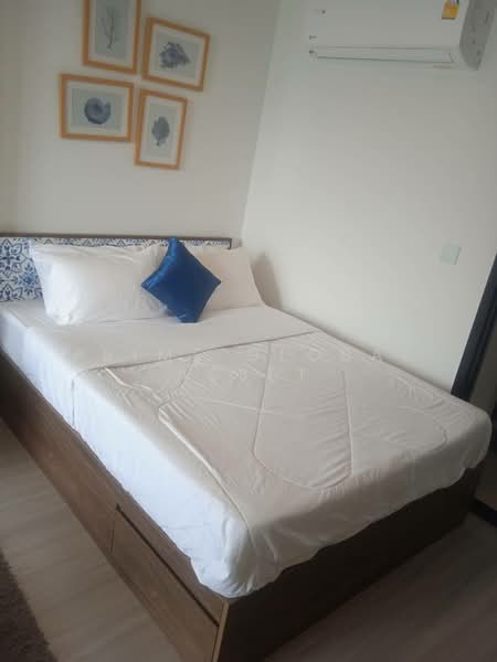 The Base Central, Phuket, Chao Fah Tawan Tok Rd, Wichit, Muang Phuket, Phuket, 1 Bedroom, 28 sqm, Condo For Rent, by Prime Global Asset, 500328277 - DDproperty.com