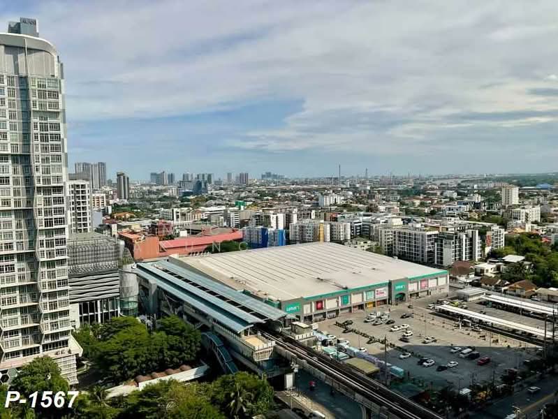 Q House Sukhumvit 79 : คิวเฮาส์ สุขุมวิท 79, กรุงเทพ, 2059 ถนนสุขุมวิท, พระโขนงเหนือ, วัฒนา, กรุงเทพ, 31 ตร.ม., คอนโด ให้เช่า, โดย Nichaphat Sakunchayapha, 500328428 - DDproperty.com