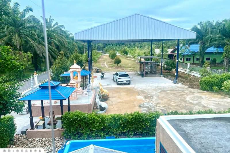 Single house with land, Sichon, Nakhon Si Thammarat DD-085391, Nakhon Si Thammarat, Sao Phao, Sichon, Nakhon Si Thammarat, 3 Bedrooms, 257 sqm, Single Detached House For Sale, by Benchawarin Pakkawetppisit, 500328435 - DDproperty.com