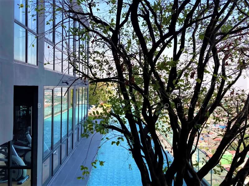 The Base Phetkasem, Bangkok, Phet Kasem Rd, Bang Wa, Phasi Charoen, Bangkok, 2 Bedrooms, 45 sqm, Condo For Rent, by Boonraksa Sopak, 500328513 - DDproperty.com