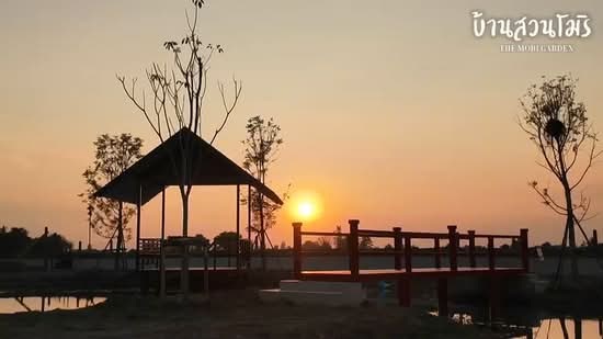 บ้านสวนโมริ, สุพรรณบุรี, ทุ่งคอก, สองพี่น้อง, สุพรรณบุรี, 1,600 ตร.ม., ที่ดิน ขาย, โดย ปริชาติ เปี่ยมเปรมสุข, 500328515 - DDproperty.com