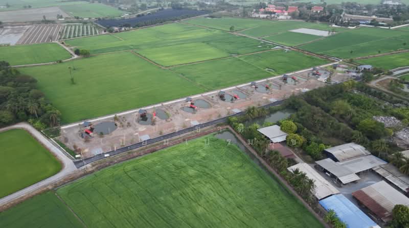 ฺThe Mori Garden, Suphan Buri, Thung Khok, Song Phi Nong, Suphan Buri, , 1,600 sqm, Land For Sale, by ปริชาติ เปี่ยมเปรมสุข, 500328515 - ภาพมุมสูงที่ดิน - DDproperty.com