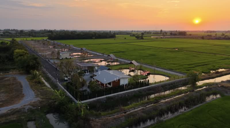 บ้านสวนโมริ, สุพรรณบุรี, ทุ่งคอก, สองพี่น้อง, สุพรรณบุรี, 1,600 ตร.ม., ที่ดิน ขาย, โดย ปริชาติ เปี่ยมเปรมสุข, 500328515 - ถมที่และมีบ้านตัวอย่างสวยงาม - DDproperty.com