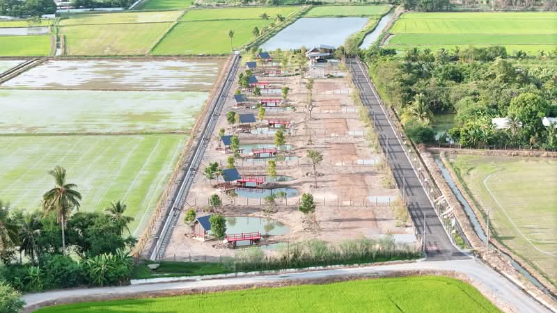 บ้านสวนโมริ, สุพรรณบุรี, ทุ่งคอก, สองพี่น้อง, สุพรรณบุรี, 1,600 ตร.ม., ที่ดิน ขาย, โดย ปริชาติ เปี่ยมเปรมสุข, 500328515 - DDproperty.com