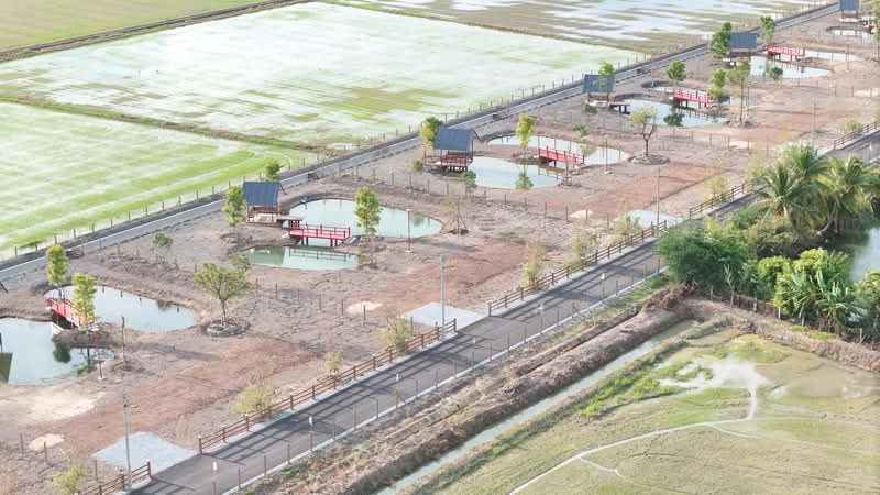 บ้านสวนโมริ, สุพรรณบุรี, ทุ่งคอก, สองพี่น้อง, สุพรรณบุรี, 1,600 ตร.ม., ที่ดิน ขาย, โดย ปริชาติ เปี่ยมเปรมสุข, 500328515 - DDproperty.com