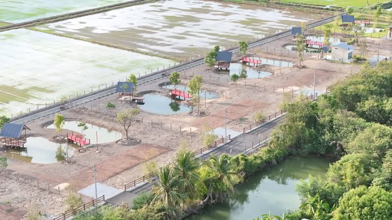 บ้านสวนโมริ, สุพรรณบุรี, ทุ่งคอก, สองพี่น้อง, สุพรรณบุรี, 1,600 ตร.ม., ที่ดิน ขาย, โดย ปริชาติ เปี่ยมเปรมสุข, 500328515 - DDproperty.com