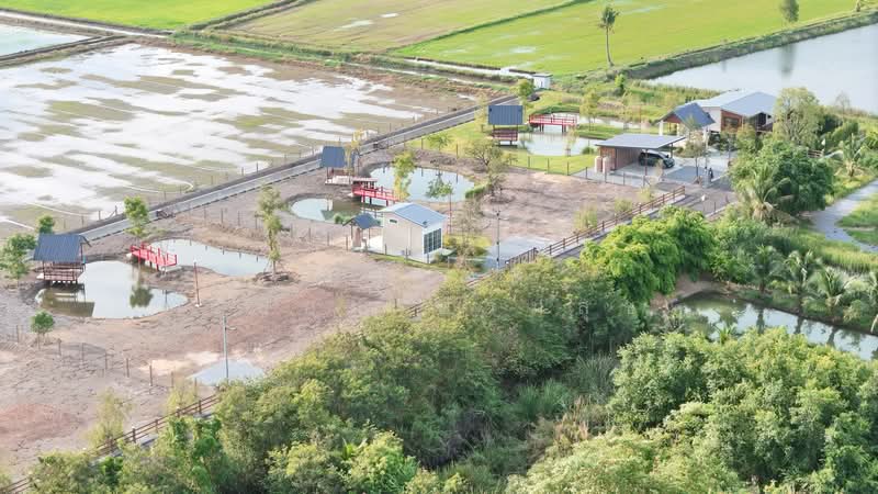 ฺThe Mori Garden, Suphan Buri, Thung Khok, Song Phi Nong, Suphan Buri, , 1,600 sqm, Land For Sale, by ปริชาติ เปี่ยมเปรมสุข, 500328515 - DDproperty.com