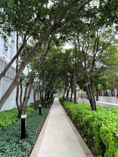 Rhythm Sukhumvit 50, Bangkok, 8 Sukhumvit 50, Sukhumvit Road, Phra Kanong, Khlong Toei, Bangkok, 1 Bedroom, 45 sqm, Condo For Sale, by Achaya Nithipanyawong, 500328521 - DDproperty.com