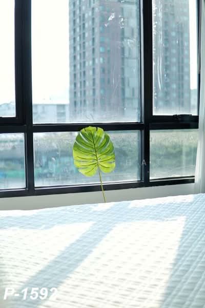 Pause Sukhumvit 107, Bangkok, Sukhumvit 107, Bang Na, Bangkok, 2 Bedrooms, 32 sqm, Condo For Rent, by Nichaphat Sakunchayapha, 500328529 - DDproperty.com