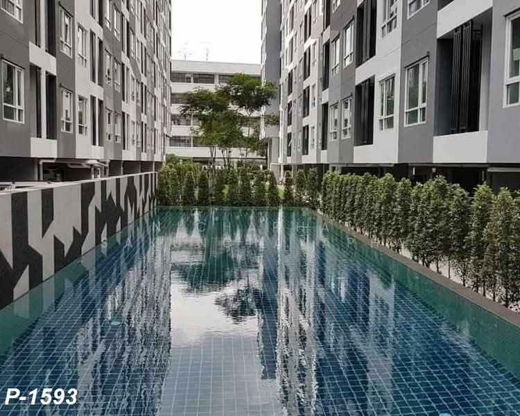 Regent Home Sukhumvit 81 : รีเจ้นท์ โฮม สุขุมวิท 81, กรุงเทพ, ซ. สุขุมวิท 81, สวนหลวง, กรุงเทพ, 28 ตร.ม., คอนโด ให้เช่า, โดย Nichaphat Sakunchayapha, 500328579 - DDproperty.com