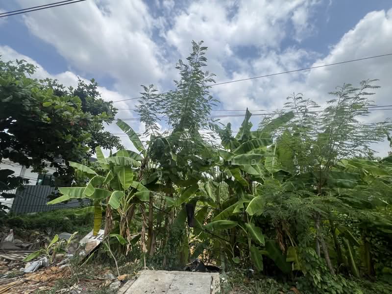 รังสิต มาลีวัลย์ เฮ้าส์ คลอง 2, Pathum Thani, รังสิต นครนายก, Rangsit, Thanyaburi, Pathum Thani, , 1,628 sqm, Land For Sale, by กาญมณี วรรณอติชาติ (หมูหวาน), 500328616 - DDproperty.com
