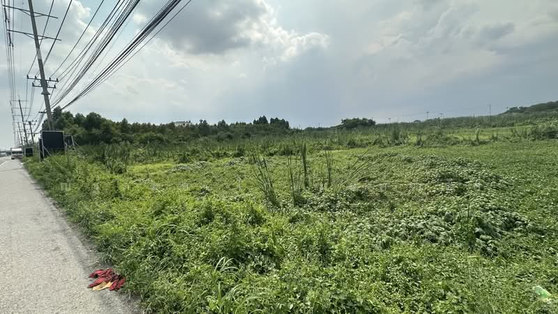 ที่ดิน, Phra Nakhon Si Ayutthaya, Lam Sai, Wang Noi, Phra Nakhon Si Ayutthaya, , 9,032 sqm, Land For Sale, by ณัฐกมล โกเมนท์จำรัส, 500328620 - DDproperty.com