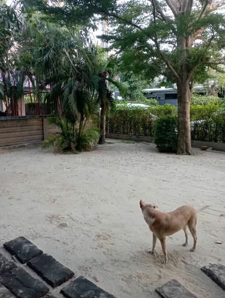 Habitia Panyaintra 2, Bangkok, Panya Inthra Road, Sam Wa Tawan Tok, Khlong Sam Wa, Bangkok, 3 Bedrooms, 204 sqm, Single Detached House For Sale, by Intouch Abhinorasaeth, 500329070 - DDproperty.com