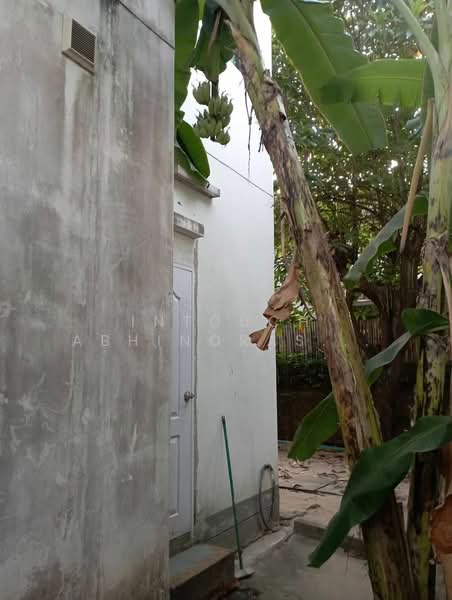 Habitia Panyaintra 2, Bangkok, Panya Inthra Road, Sam Wa Tawan Tok, Khlong Sam Wa, Bangkok, 3 Bedrooms, 204 sqm, Single Detached House For Sale, by Intouch Abhinorasaeth, 500329070 - DDproperty.com