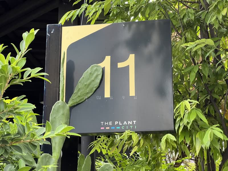 The Plant Citi Chaengwatthana, Nonthaburi, Popular Road, Ban Mai, Pak Kret, Nonthaburi, 3 Bedrooms, 26 sqm, Townhouse For Sale, by คุณแจม, 500329137 - DDproperty.com