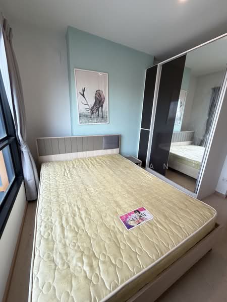 The Tree Sukhumvit 71-Ekamai, Bangkok, 1269 Sukhumvit 71 Road, Suan Luang, Bangkok, 1 Bedroom, 27 sqm, Condo For Rent, by Rapeephan, 500329183 - DDproperty.com