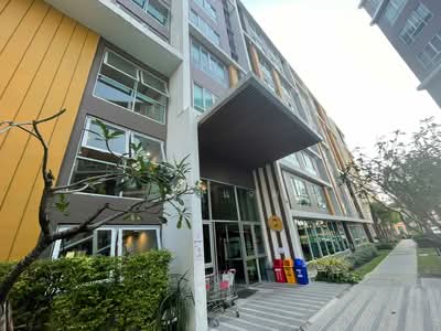 ขาย - Dcondo Campus Resort Bangsaen : ดีคอนโด แคมปัส รีสอร์ท บางแสน, ชลบุรี
