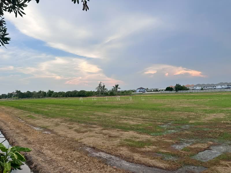 Sirarom Ban Kluay-Sai Noi, Nonthaburi, Bang Khu Rat, Bang Bua Thong, Nonthaburi, 2 Bedrooms, 80 sqm, Townhouse For Sale, by คุณเฟิร์น, 500329417 - DDproperty.com