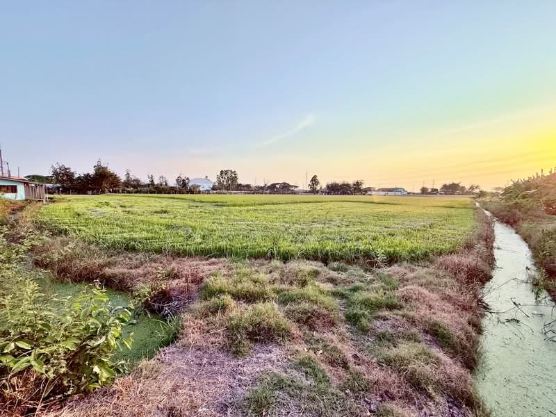 ที่ดิน เนื้อที่ 8-1-53 ไร่ เข้าซอยวัดคลองตาคล้าย, Nonthaburi, Sai Noi, Nonthaburi, , 13,412 sqm, Land For Sale, by ชนะชาติ นนท์ตา, 500329749 - DDproperty.com