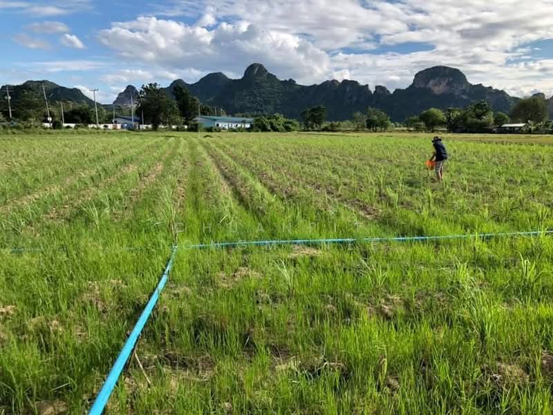 Dream Retirement Land Slow Life with Mount Ego Views, Phetchaburi, Khao Yoi, Phetchaburi, , 8,136 sqm, Land For Sale, by Chuanpit Tongmanee, 500329779 - DDproperty.com