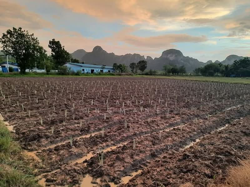 Dream Retirement Land Slow Life with Mount Ego Views, Phetchaburi, Khao Yoi, Phetchaburi, , 8,136 sqm, Land For Sale, by Chuanpit Tongmanee, 500329779 - DDproperty.com