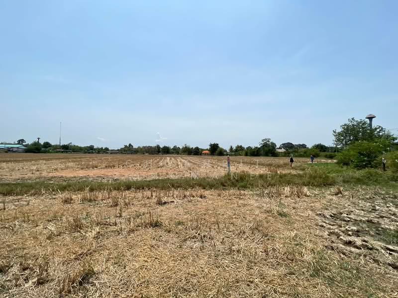 Dream Retirement Land Slow Life with Mount Ego Views, Phetchaburi, Khao Yoi, Phetchaburi, , 8,136 sqm, Land For Sale, by Chuanpit Tongmanee, 500329779 - DDproperty.com