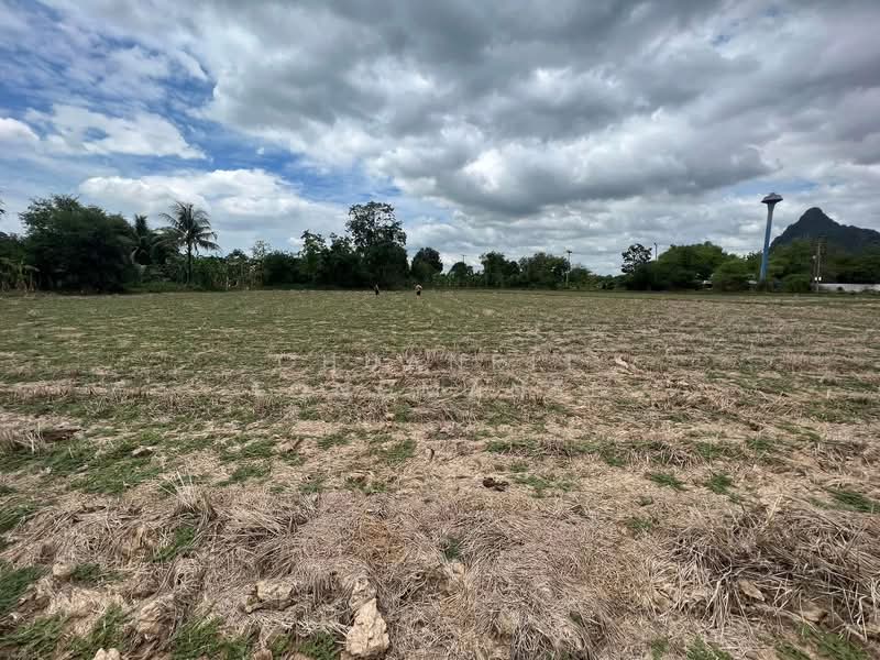Dream Retirement Land Slow Life with Mount Ego Views, Phetchaburi, Khao Yoi, Phetchaburi, , 8,136 sqm, Land For Sale, by Chuanpit Tongmanee, 500329779 - DDproperty.com